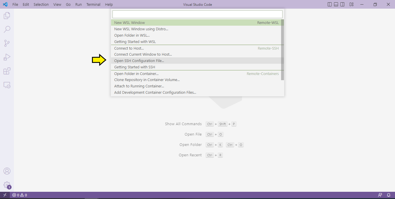 VS Code Remote SSH config option screenshot
