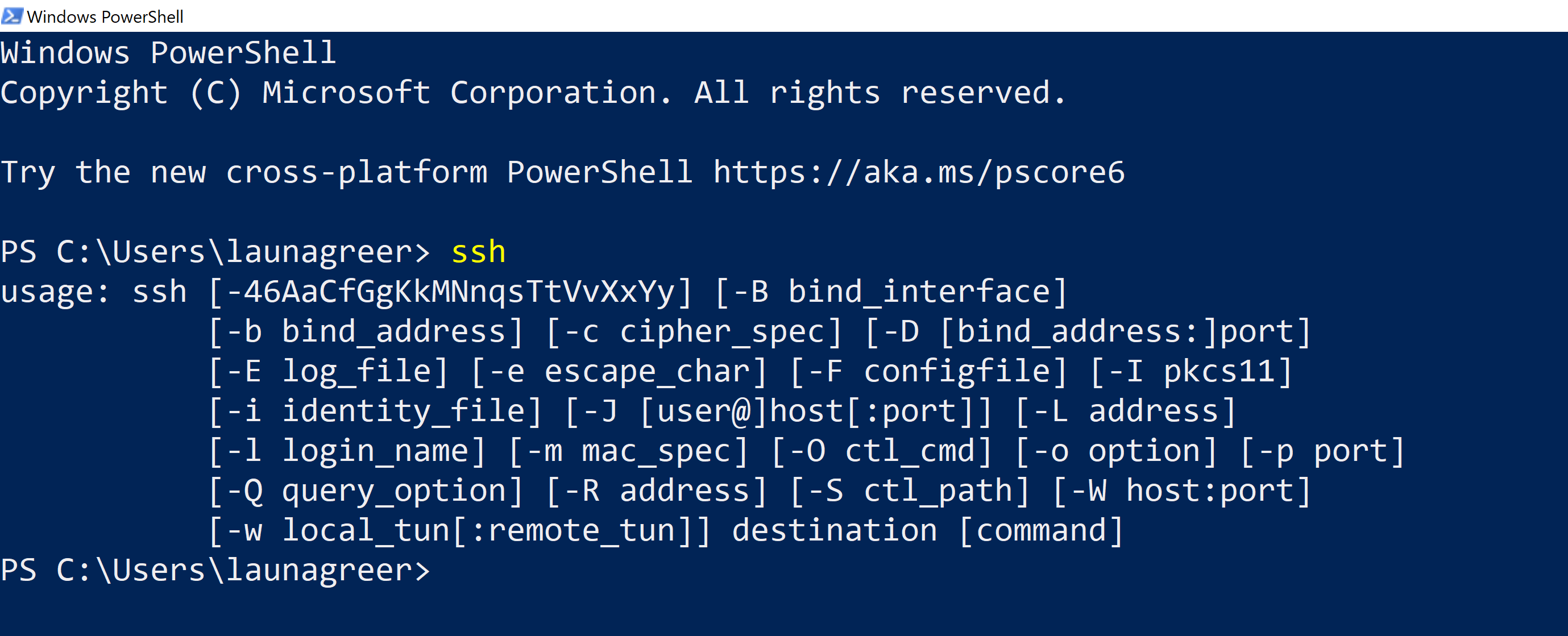 SSH command check screenshot - Windows